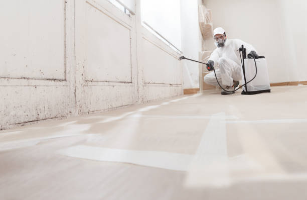 24/7 Emergency Mold Remediation experts in Trenton, IL