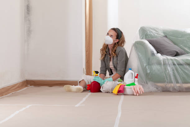 Reliable Mold Remediation contractor in Trenton, IL by Mold Remediation HQ